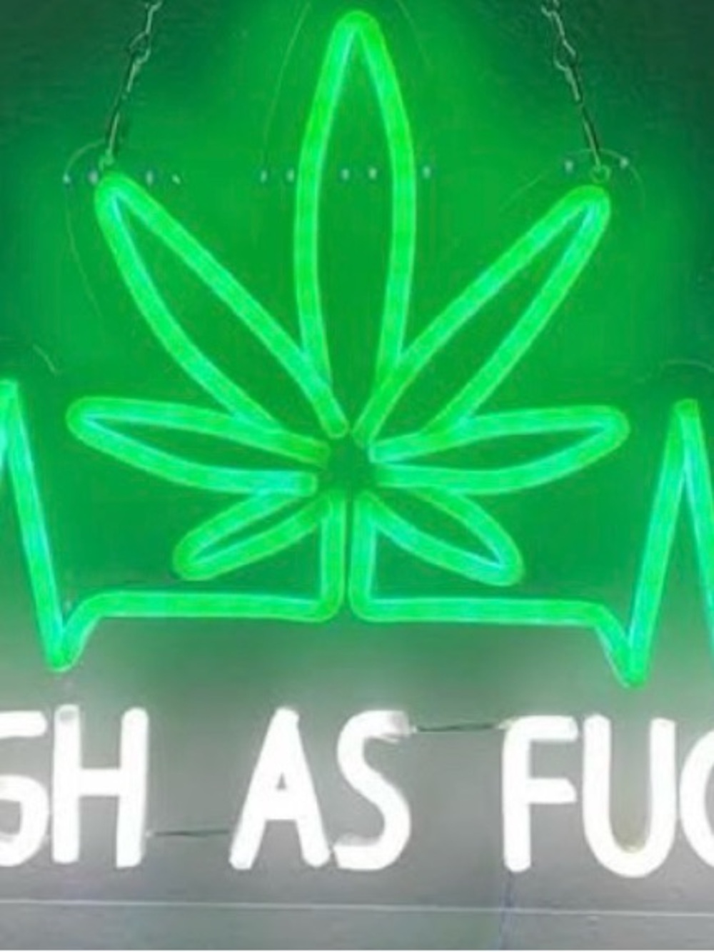 420 LED NEON Sign NWT